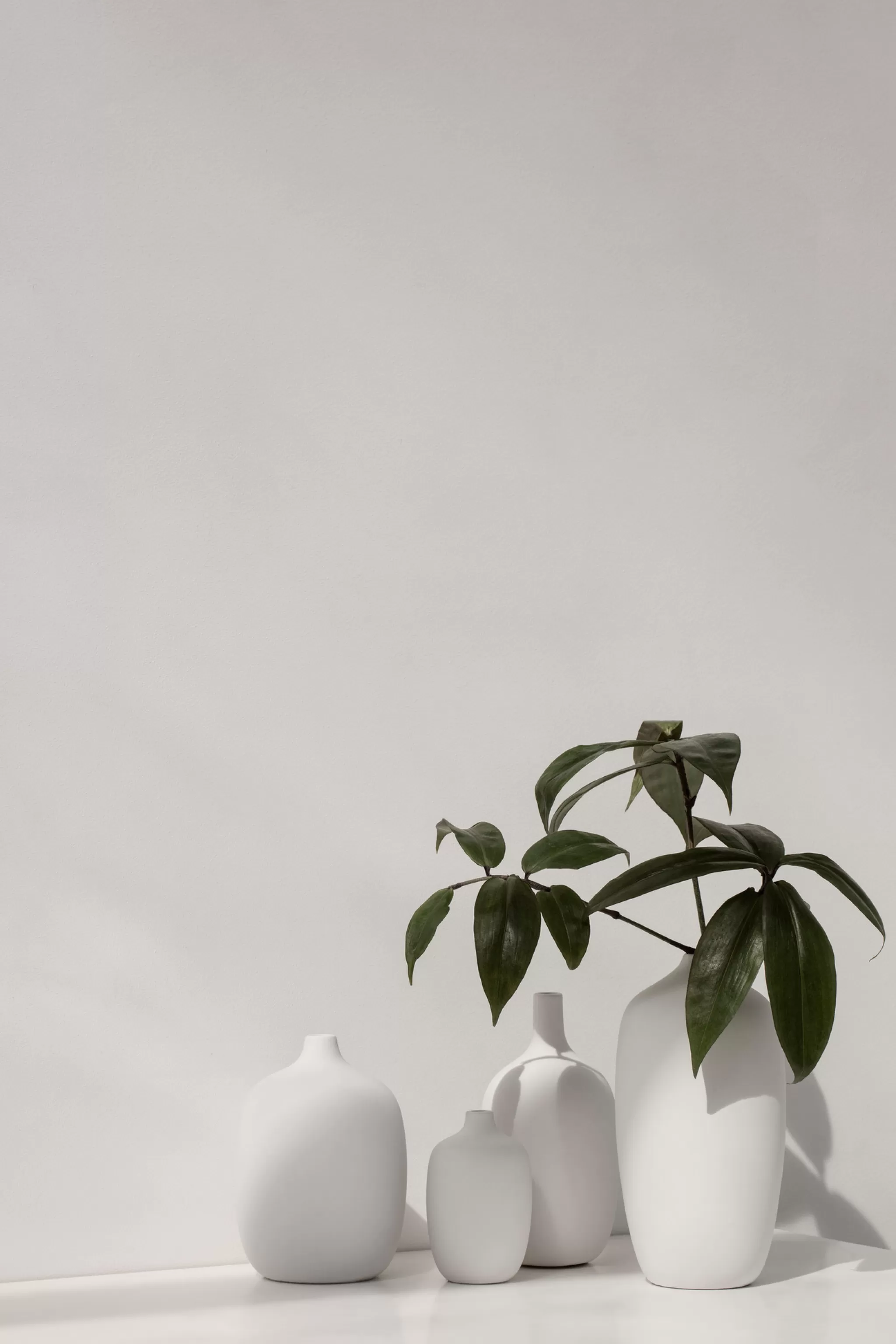 Blomus Vases*Ceola Vase 21 Cm - Color White (66171)