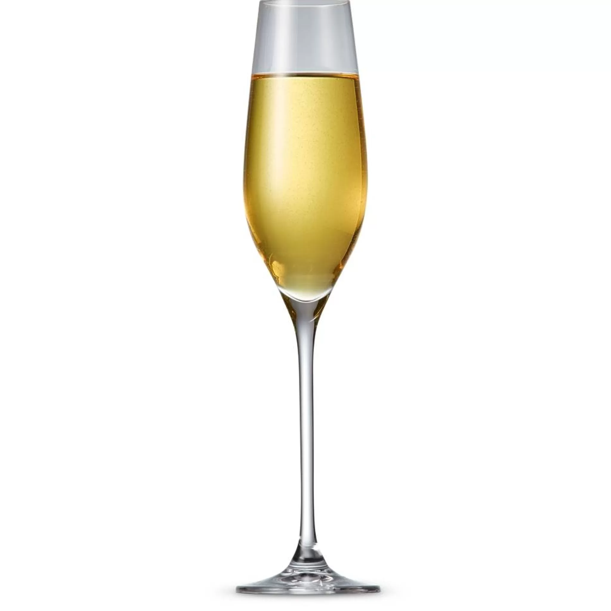 S&P Wine Accessories*Cuvee Champagne Glass (Set / 6) Sp30962